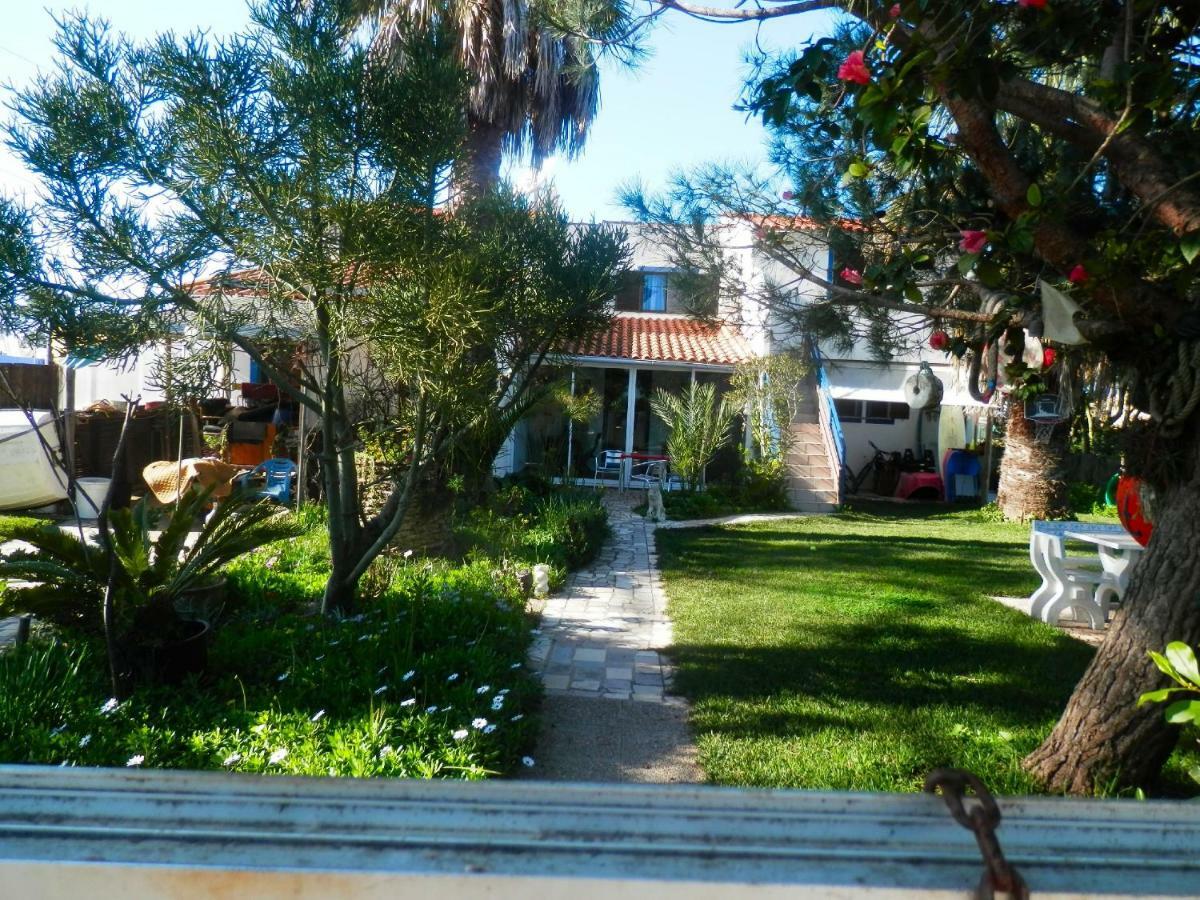 Casa Das Palmeiras Aljezur Bagian luar foto